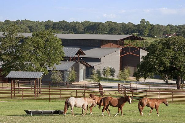 monty horse-ranch.jpg